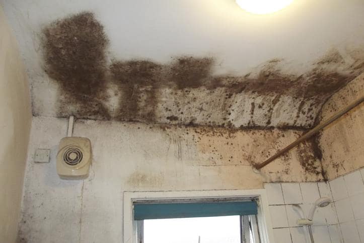 Housing Conditions Claims